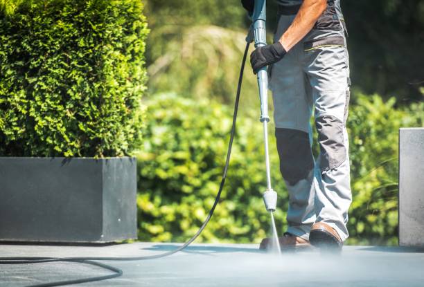 Best Roof Cleaning and Mildew Removal in Calvert, TX