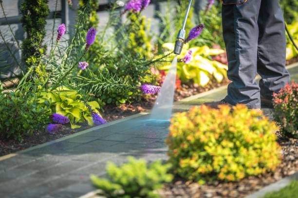 Best Fence Cleaning and Maintenance in Calvert, TX