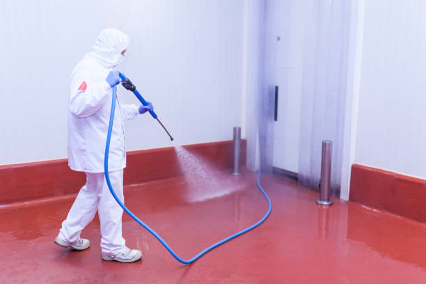 Best Window and Screen Pressure Cleaning in Calvert, TX